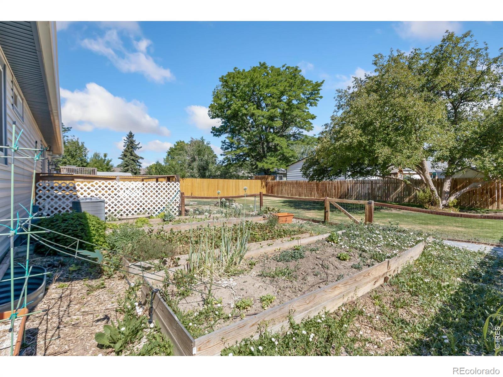 MLS Image #40 for 1115  2nd street,eaton, Colorado