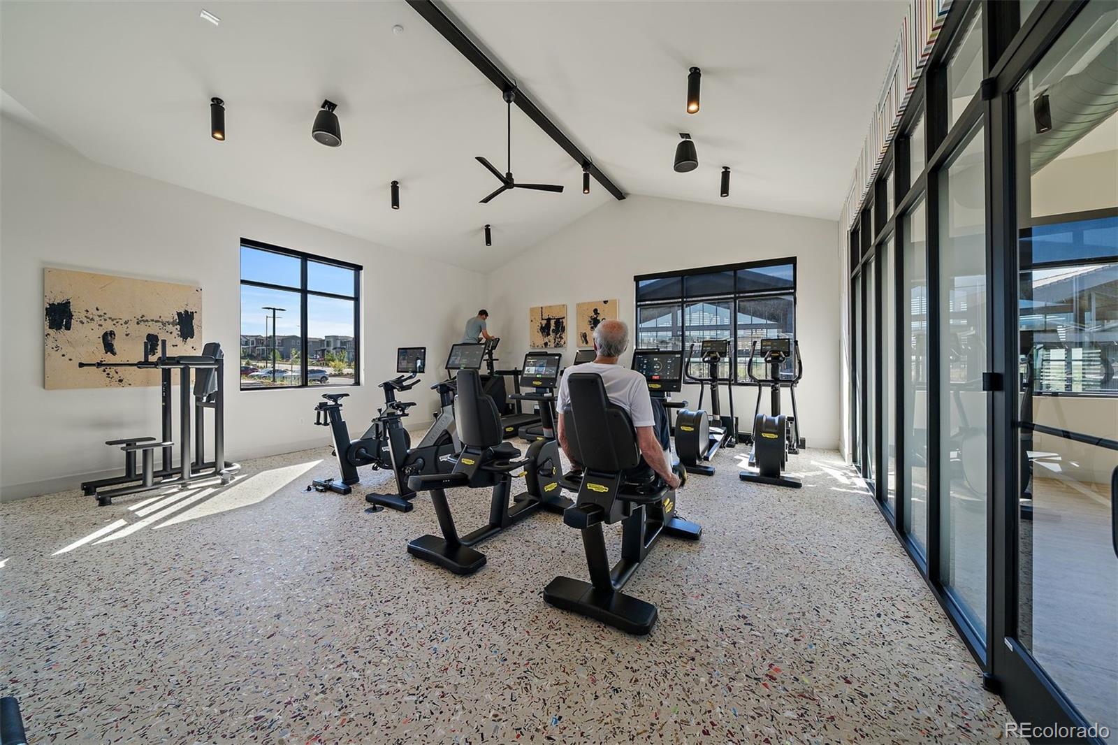 MLS Image #26 for 10858  lyric street,lone tree, Colorado