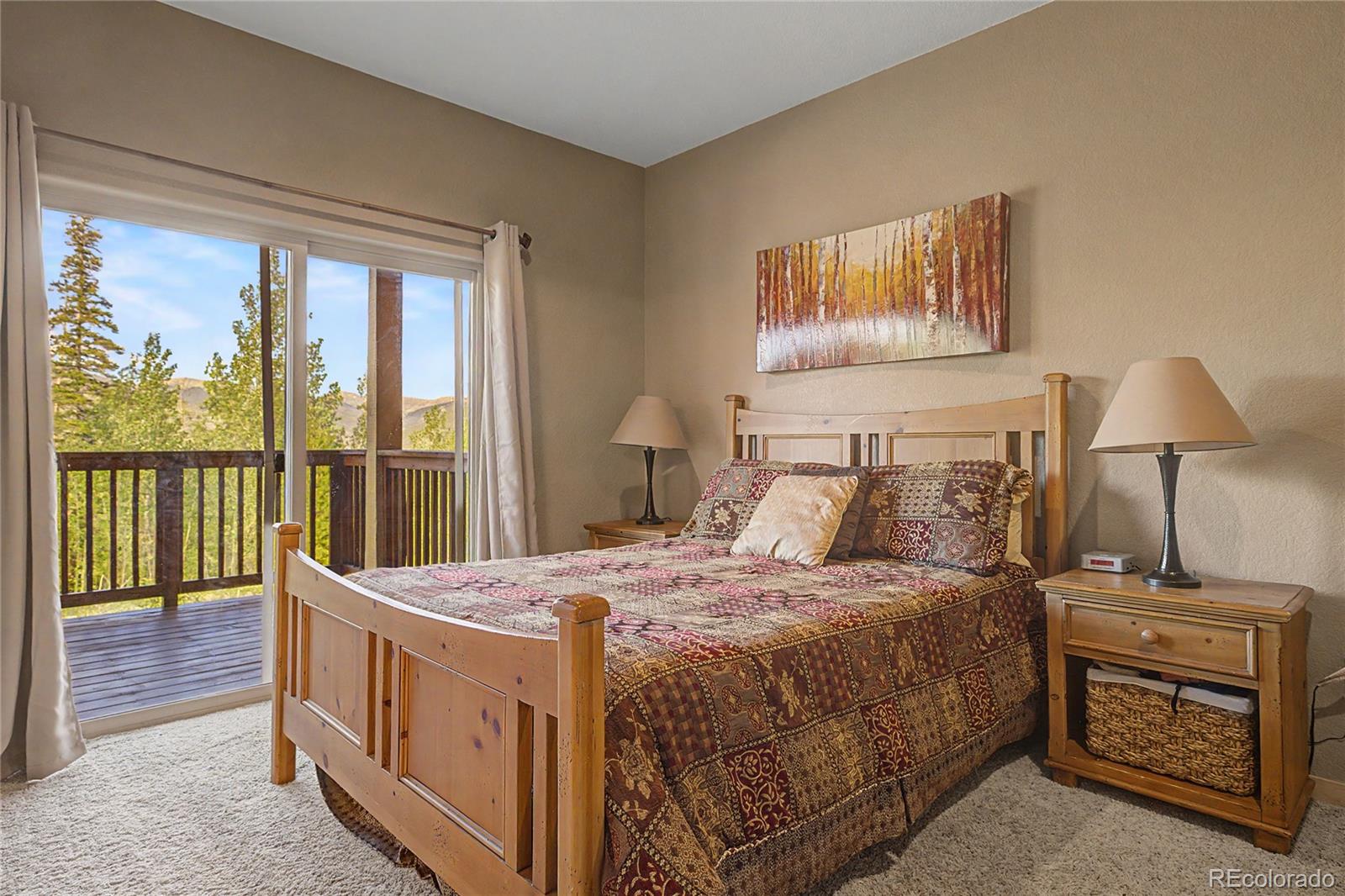 MLS Image #20 for 80  black diamond trail,silverthorne, Colorado