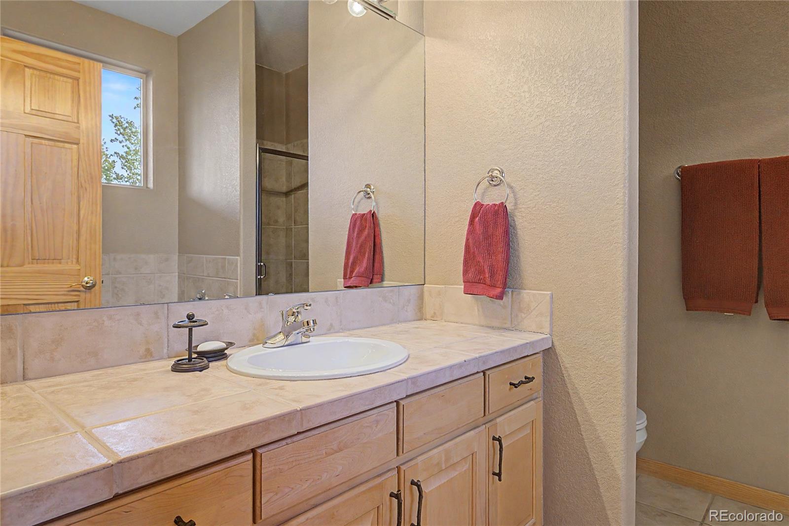 MLS Image #22 for 80  black diamond trail,silverthorne, Colorado