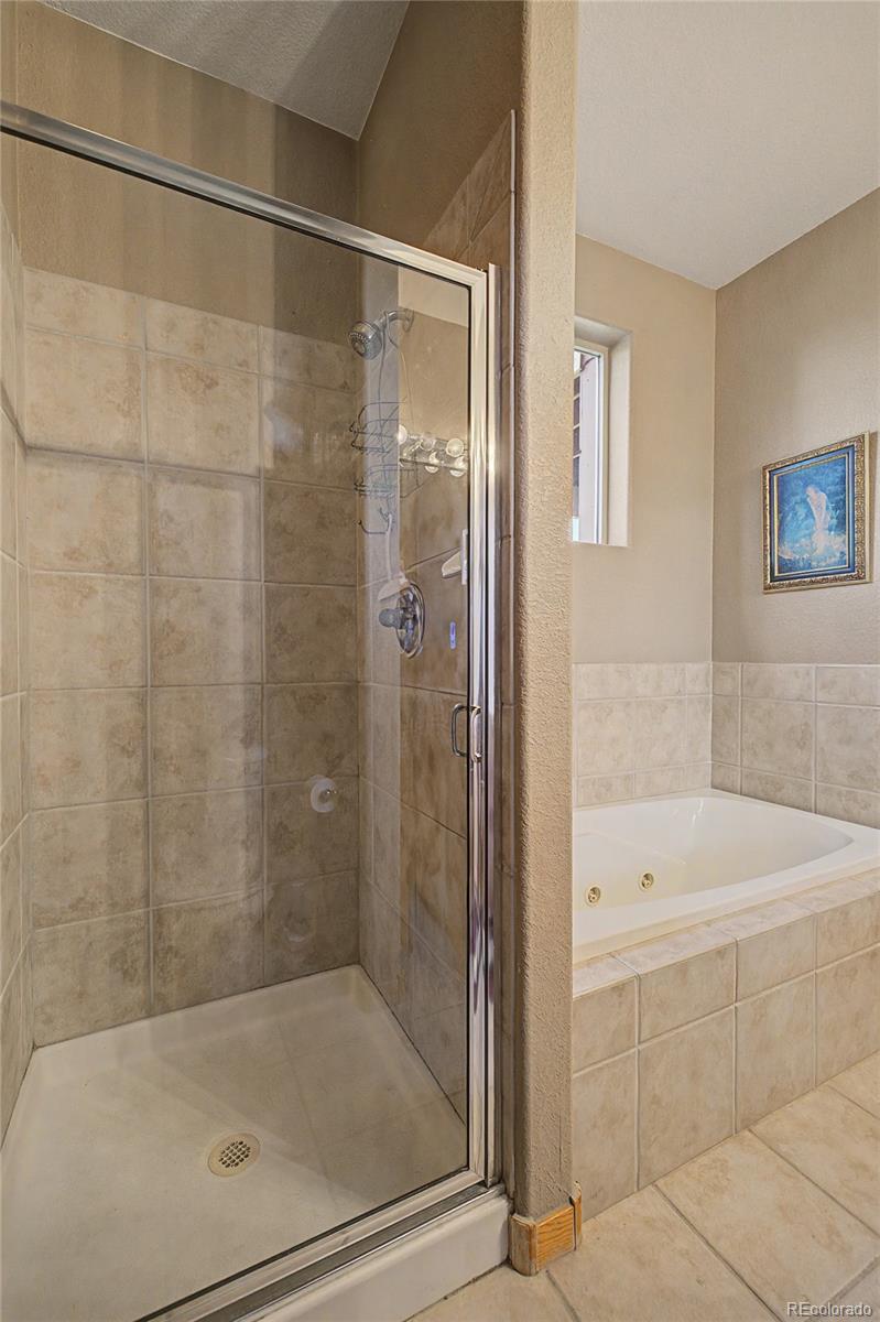 MLS Image #23 for 80  black diamond trail,silverthorne, Colorado