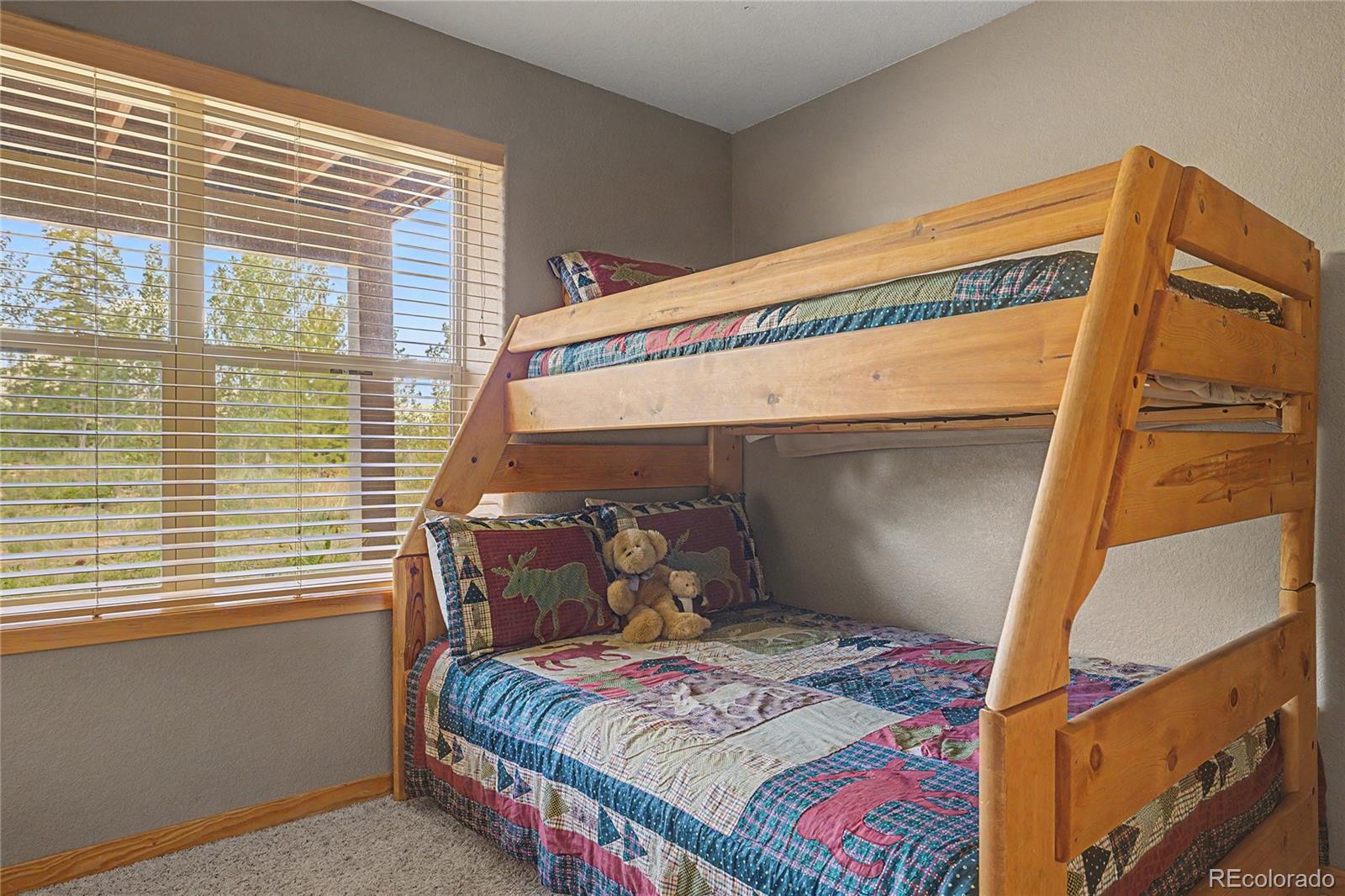 MLS Image #25 for 80  black diamond trail,silverthorne, Colorado