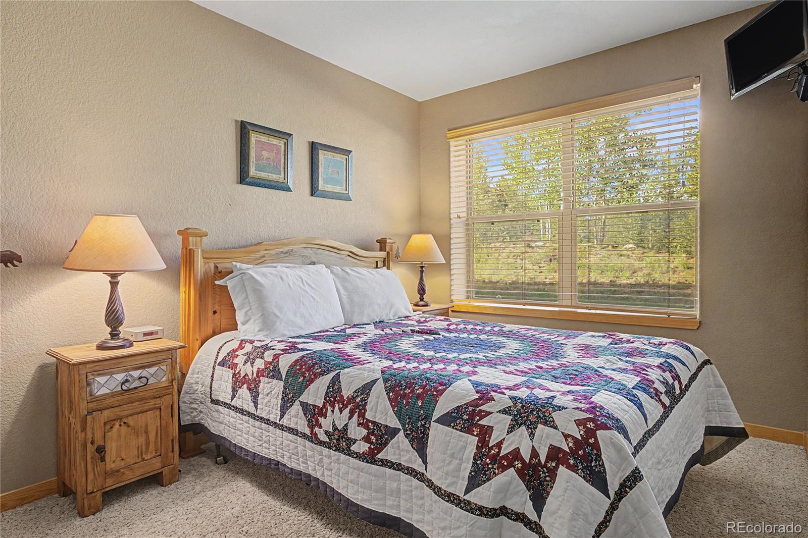 MLS Image #26 for 80  black diamond trail,silverthorne, Colorado