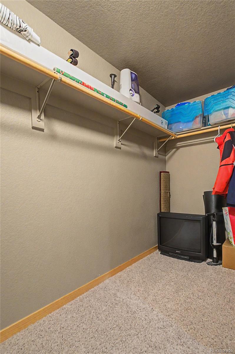 MLS Image #29 for 80  black diamond trail,silverthorne, Colorado