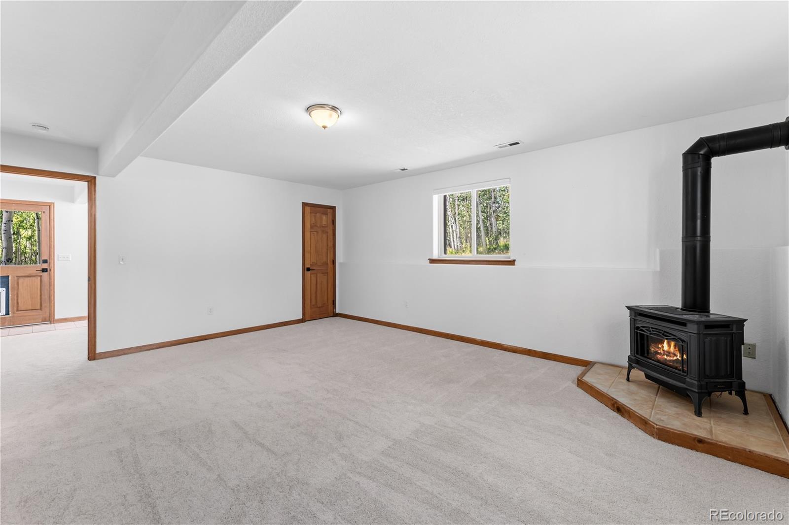 MLS Image #15 for 56  sheep ridge road,fairplay, Colorado