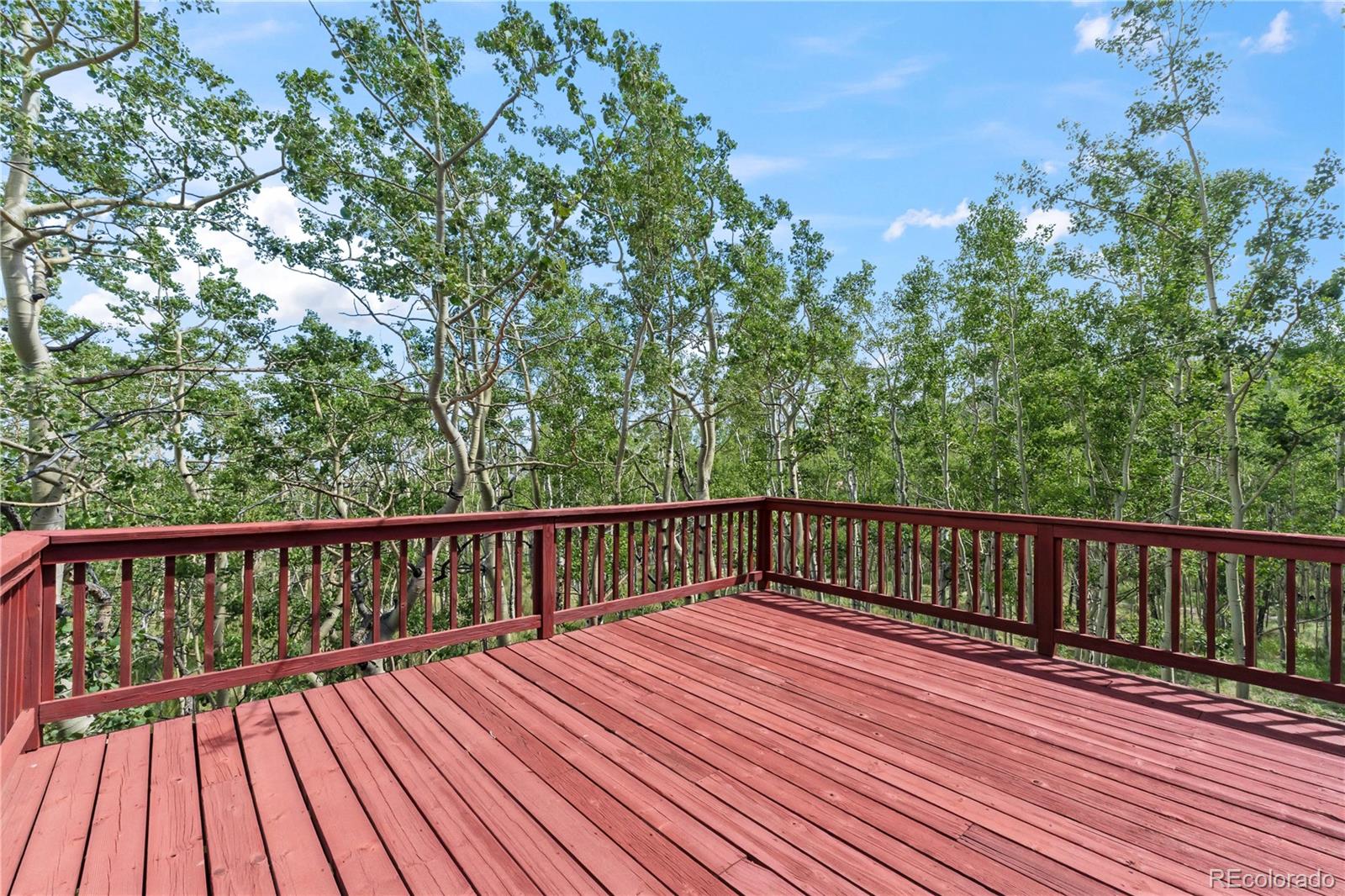 MLS Image #25 for 56  sheep ridge road,fairplay, Colorado