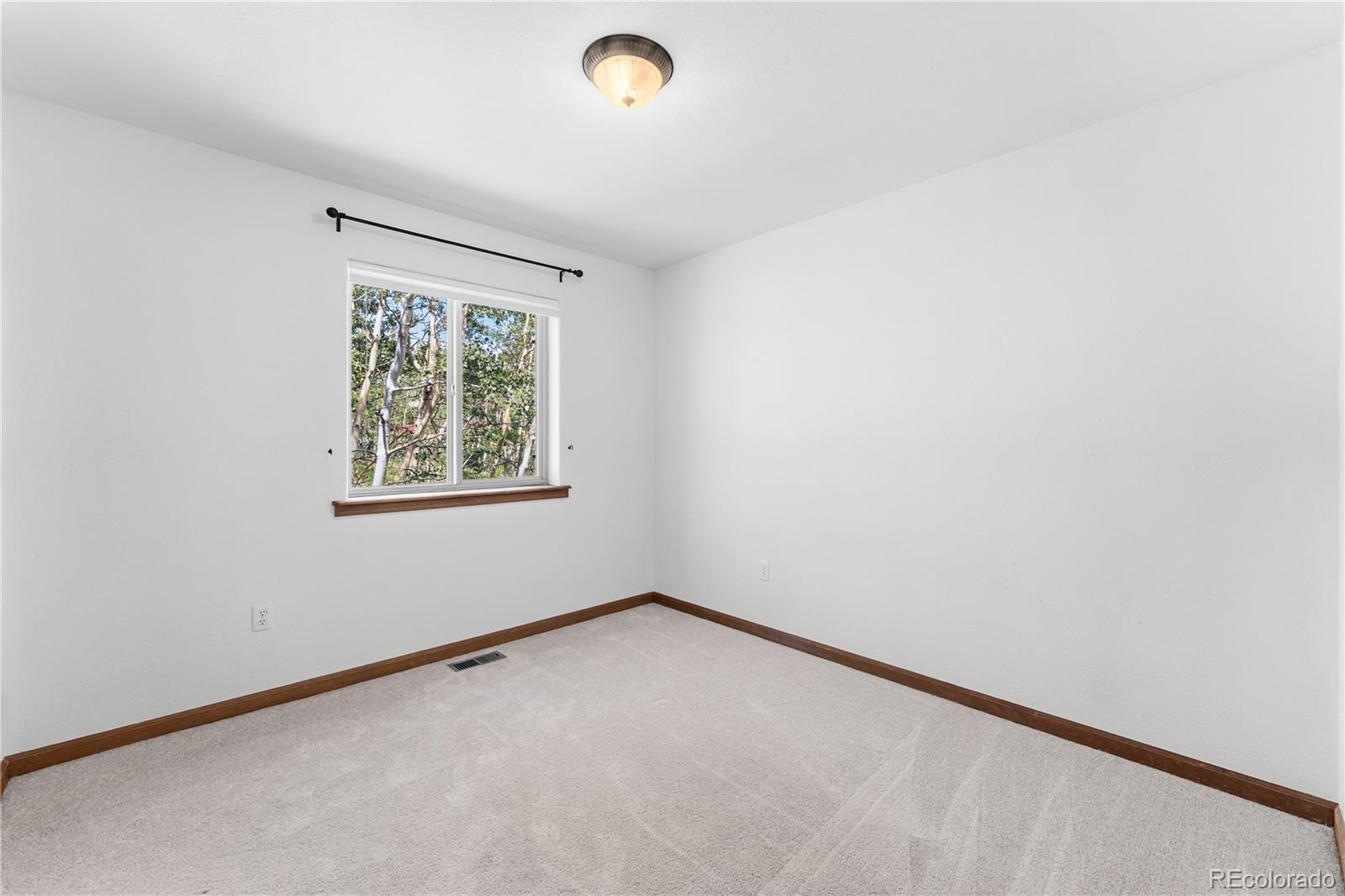 MLS Image #9 for 56  sheep ridge road,fairplay, Colorado