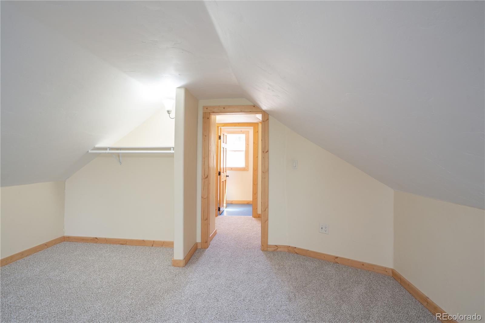 MLS Image #28 for 122 s toledo avenue,leadville, Colorado