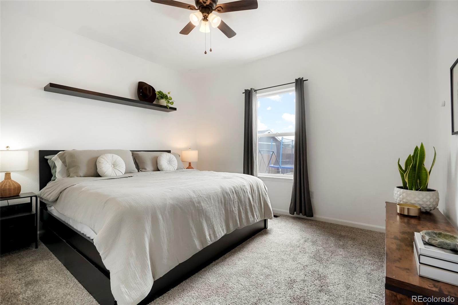MLS Image #14 for 3005  quarterland street,strasburg, Colorado