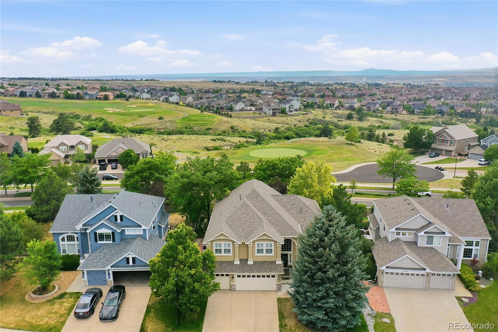 MLS Image #2 for 11731  riverdale drive,parker, Colorado