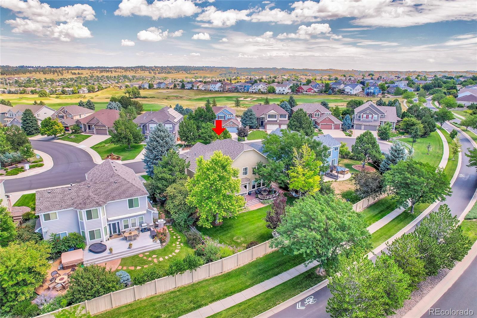 MLS Image #4 for 11731  riverdale drive,parker, Colorado
