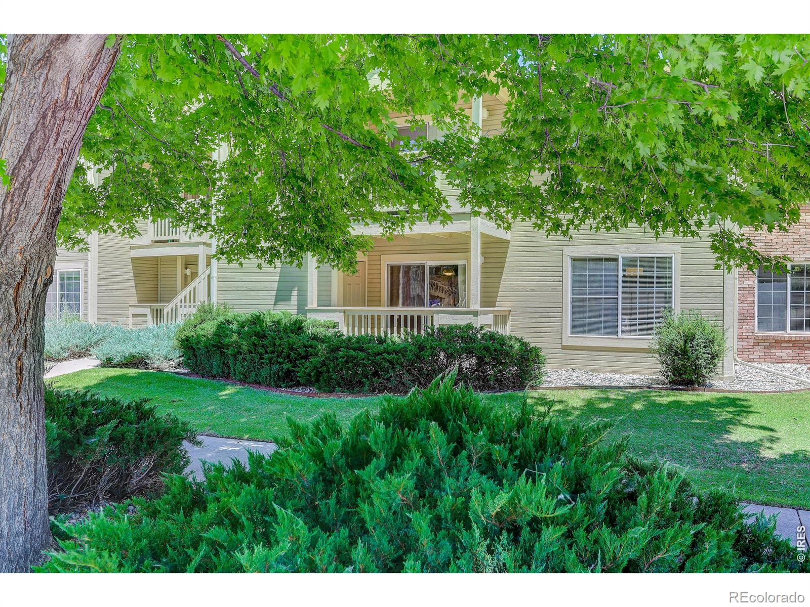 MLS Image #5 for 1225 w prospect road,fort collins, Colorado