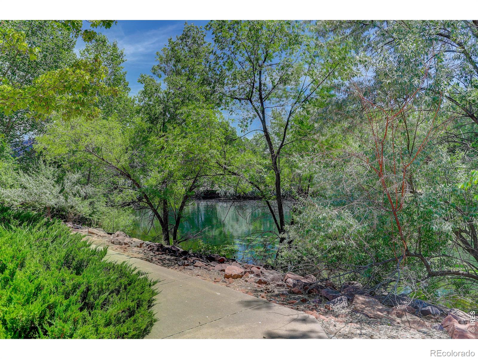 MLS Image #8 for 1225 w prospect road,fort collins, Colorado