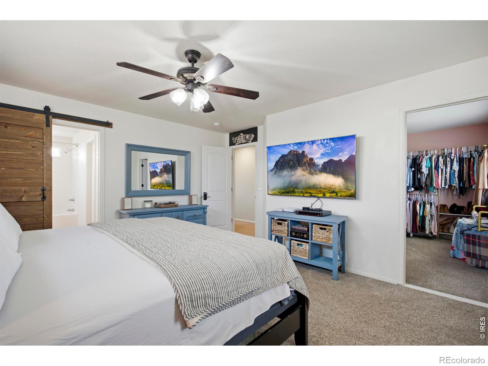 MLS Image #19 for 4502  emerald bay lane,wellington, Colorado