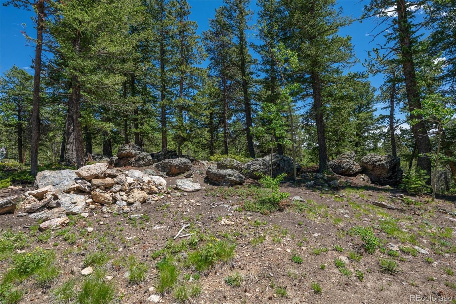 MLS Image #14 for 1  hawk way,black hawk, Colorado