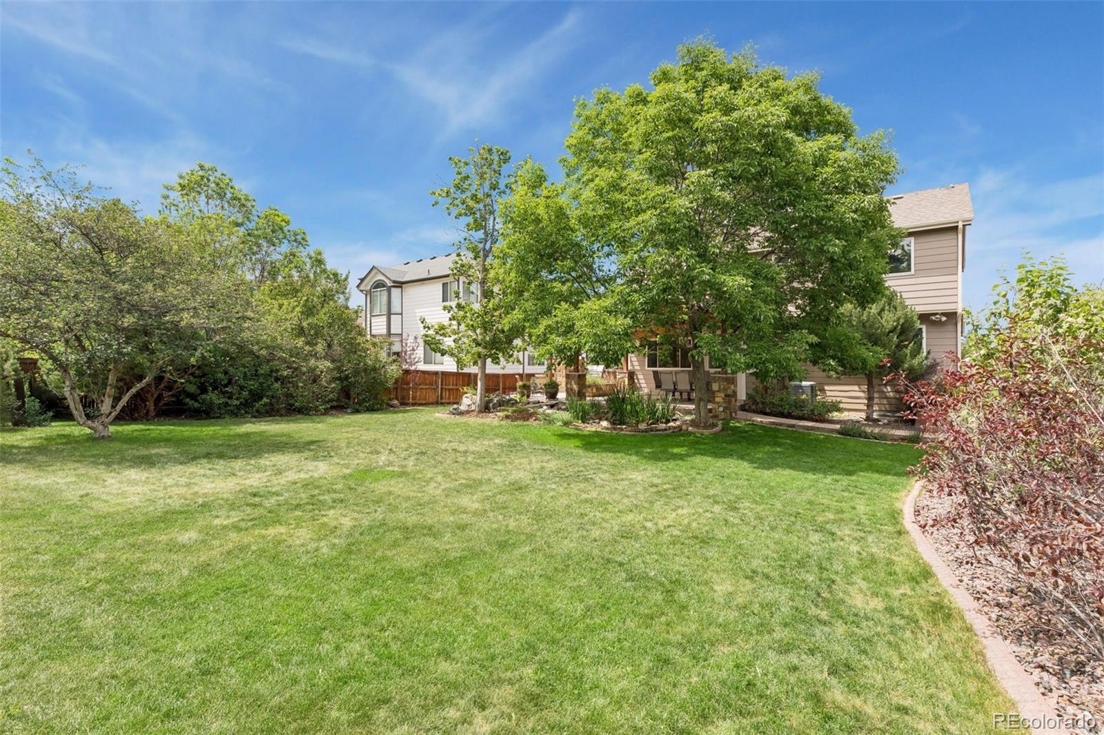 MLS Image #8 for 2952  clairton drive,littleton, Colorado