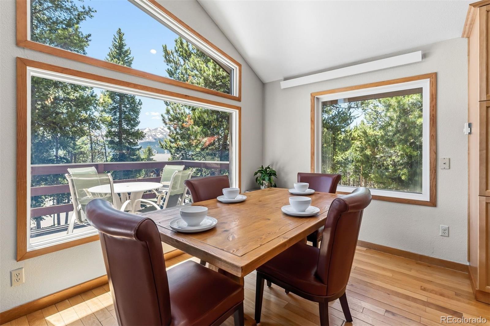 MLS Image #14 for 1233  baldy road,breckenridge, Colorado