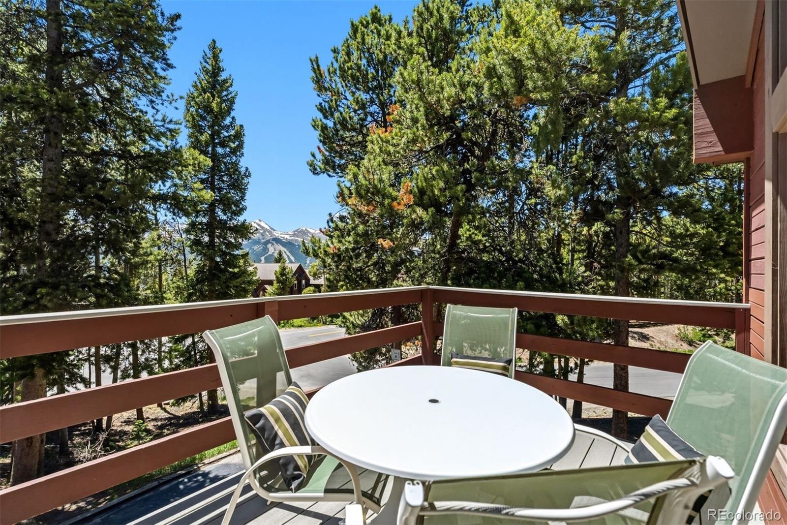 MLS Image #16 for 1233  baldy road,breckenridge, Colorado