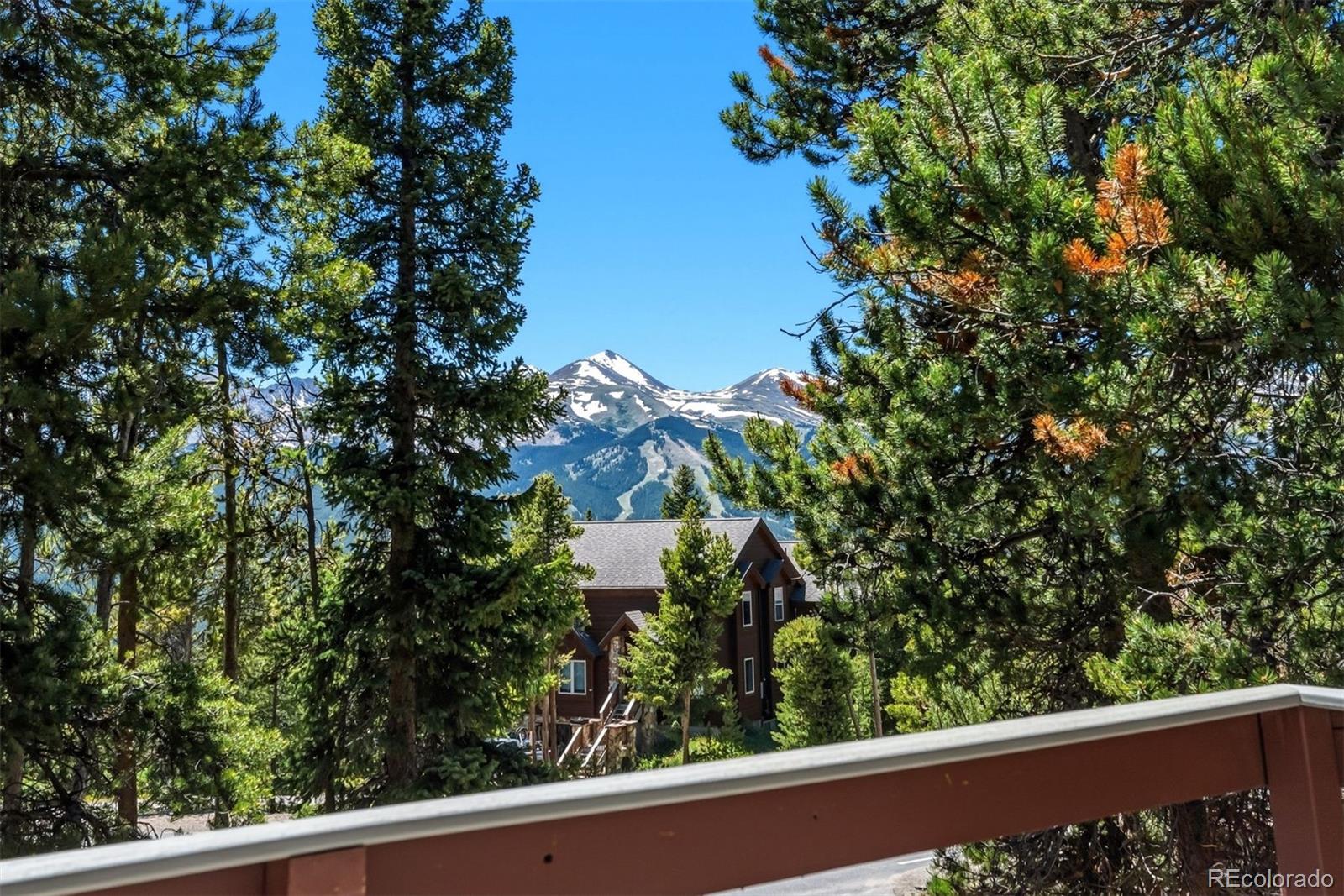 MLS Image #17 for 1233  baldy road,breckenridge, Colorado