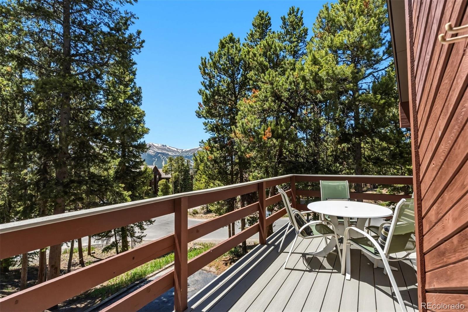 MLS Image #18 for 1233  baldy road,breckenridge, Colorado