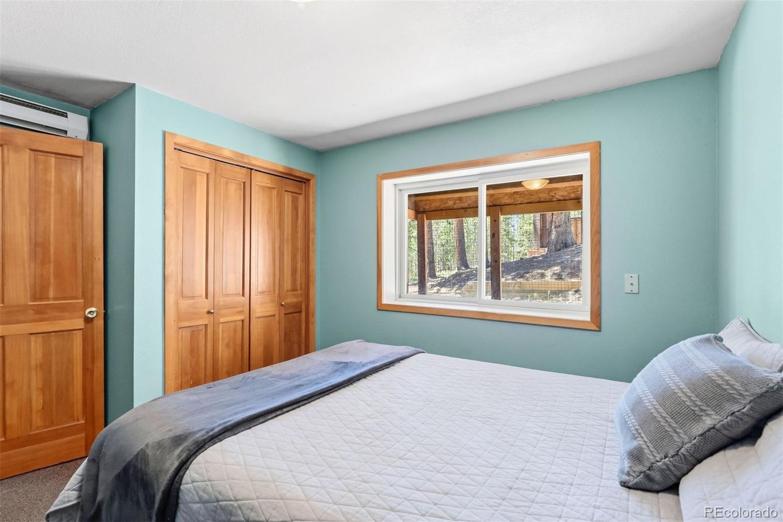 MLS Image #29 for 1233  baldy road,breckenridge, Colorado