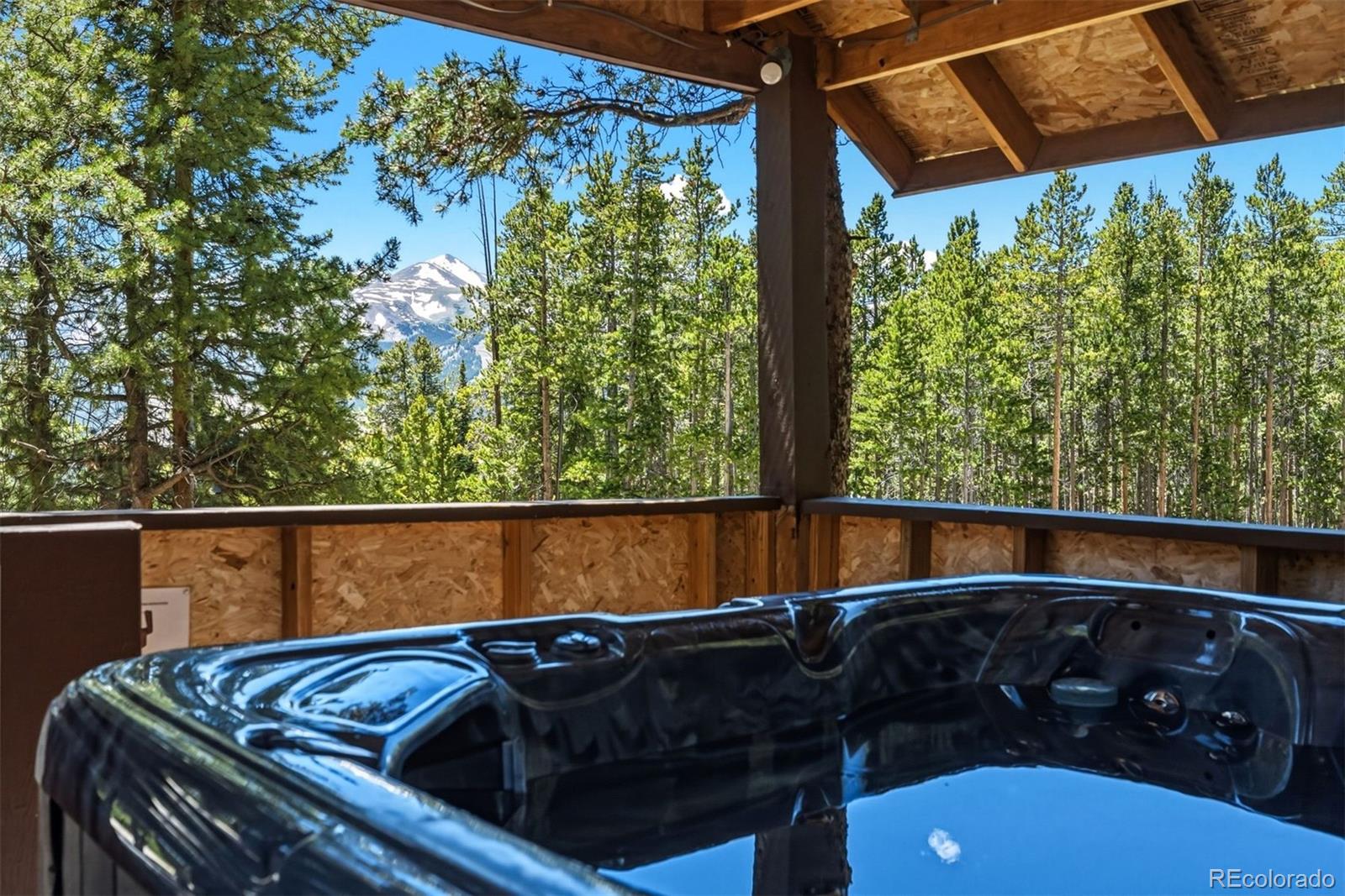 MLS Image #37 for 1233  baldy road,breckenridge, Colorado