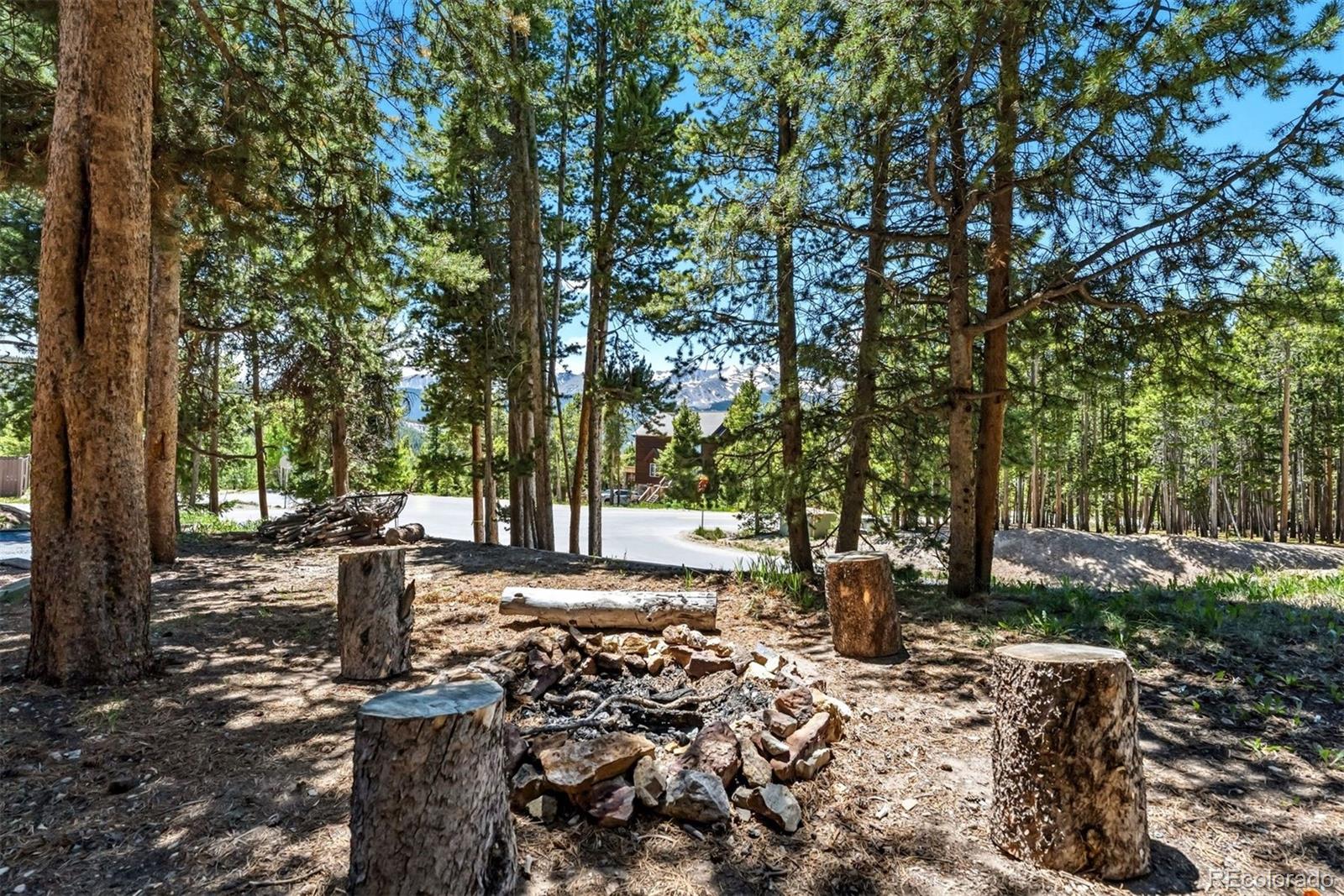 MLS Image #38 for 1233  baldy road,breckenridge, Colorado