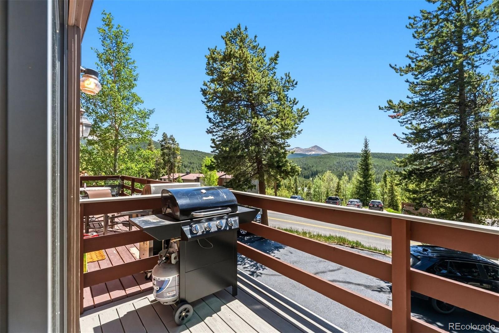 MLS Image #39 for 1233  baldy road,breckenridge, Colorado