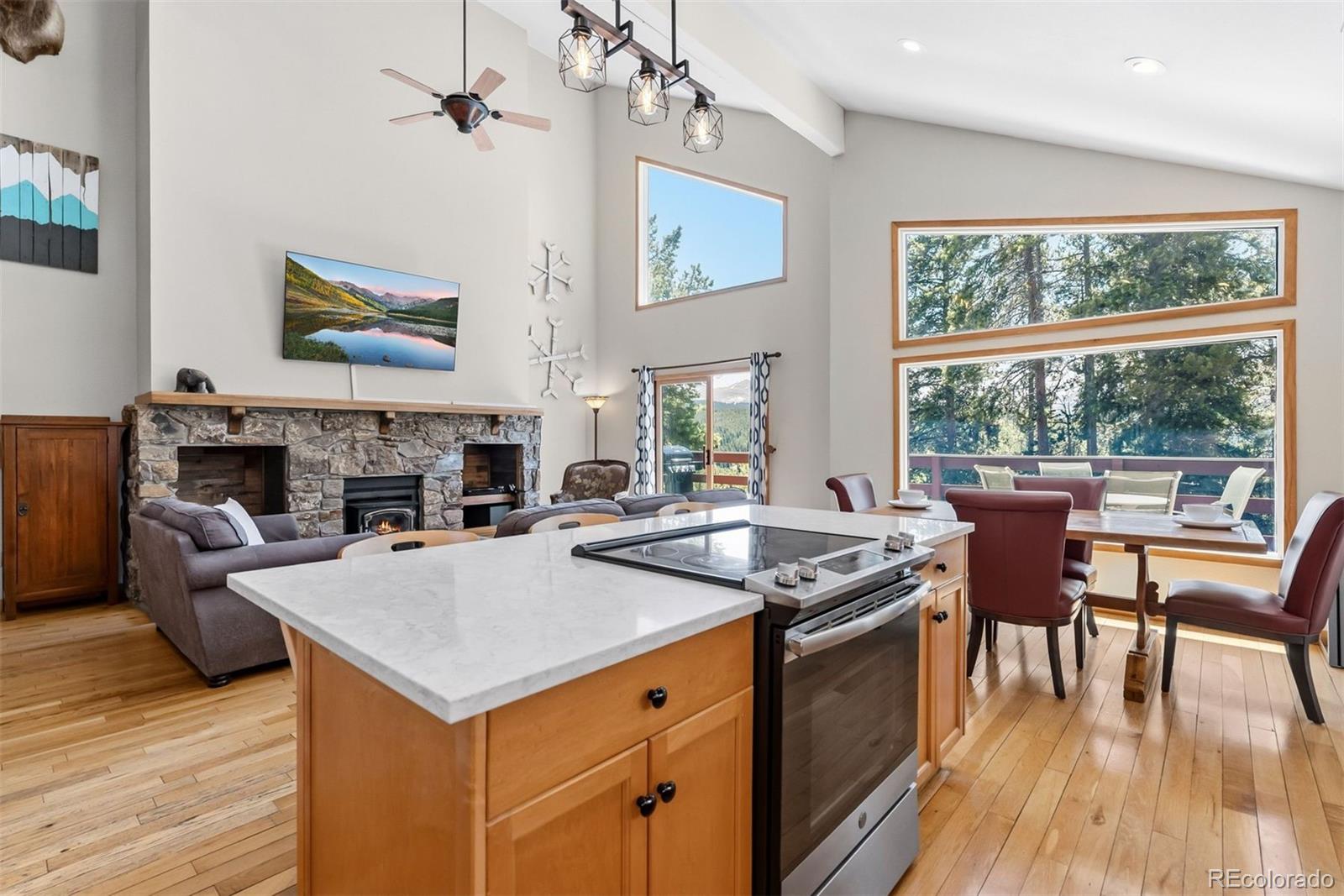 MLS Image #4 for 1233  baldy road,breckenridge, Colorado