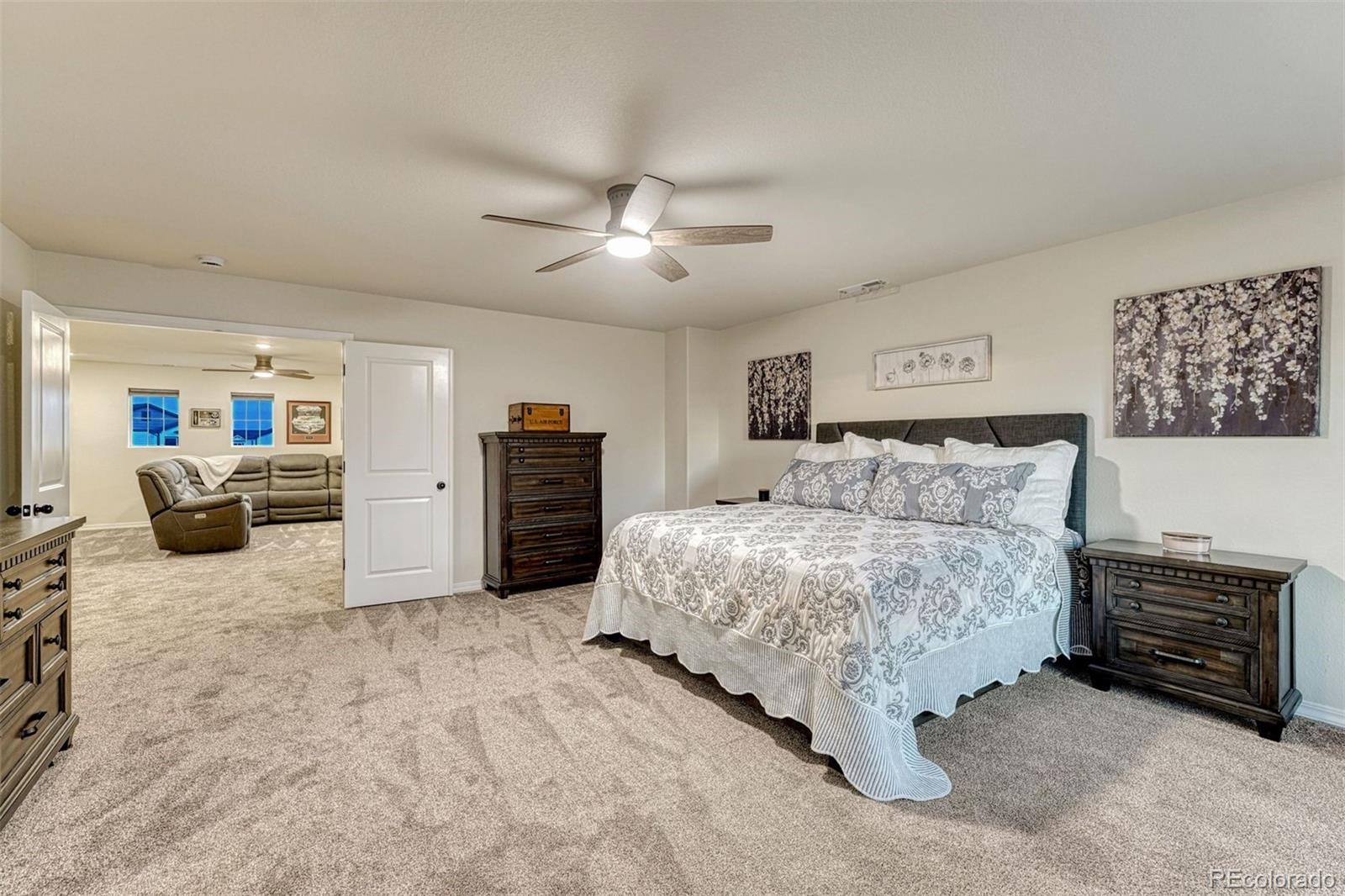 MLS Image #44 for 8268  sophia lane,peyton, Colorado