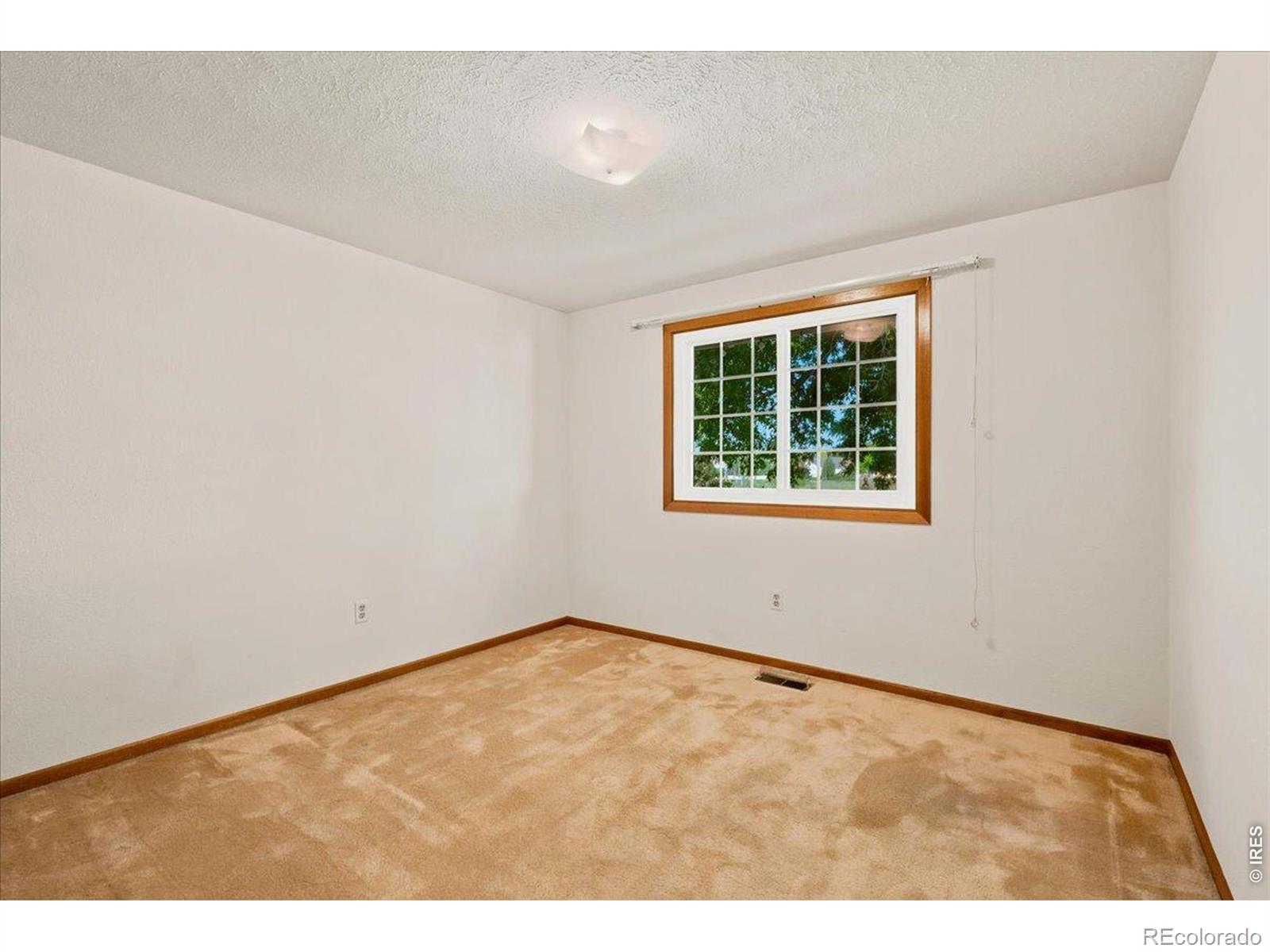 MLS Image #17 for 4891  filbert drive,loveland, Colorado