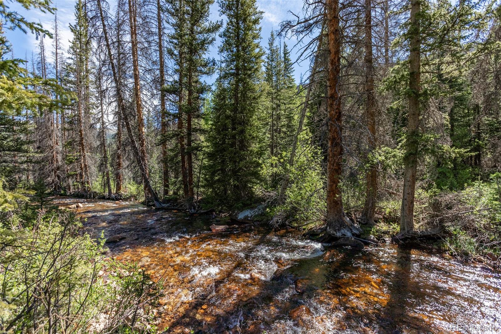 MLS Image #0 for 18990  cr-294 ,nathrop, Colorado