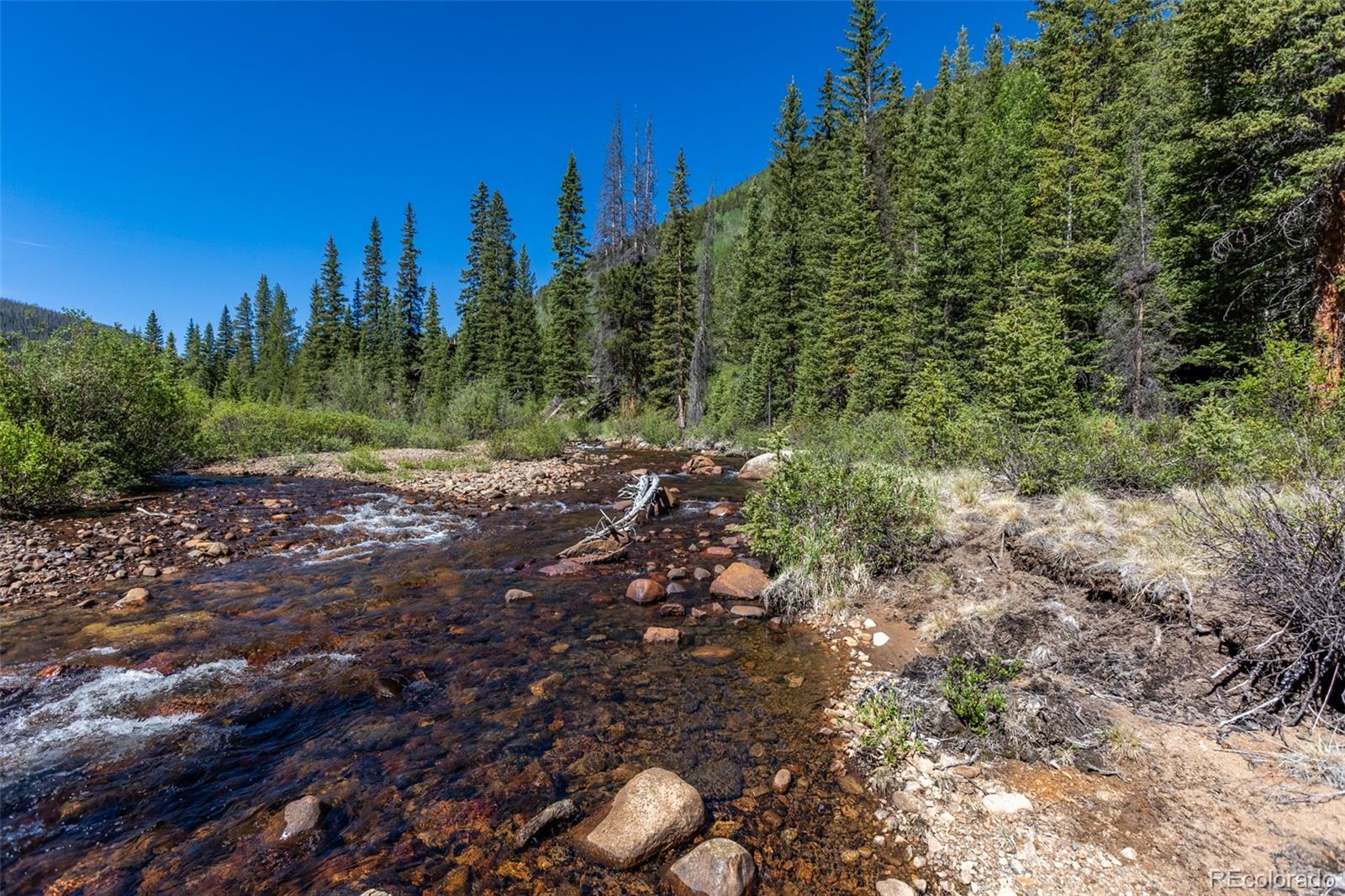 MLS Image #1 for 18990  cr-294 ,nathrop, Colorado
