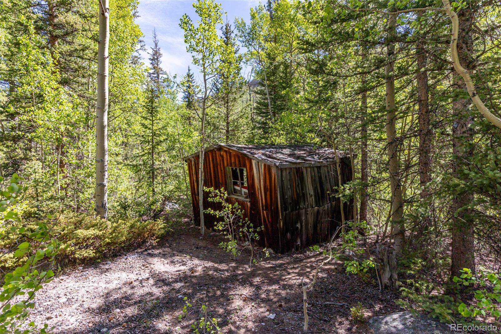 MLS Image #13 for 18990  cr-294 ,nathrop, Colorado