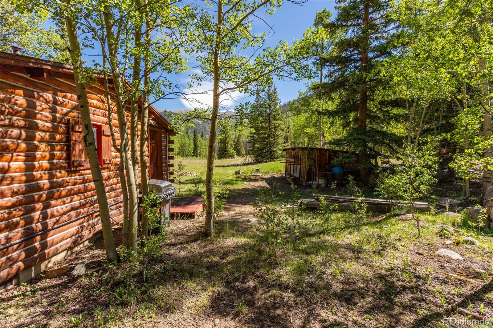 MLS Image #14 for 18990  cr-294 ,nathrop, Colorado