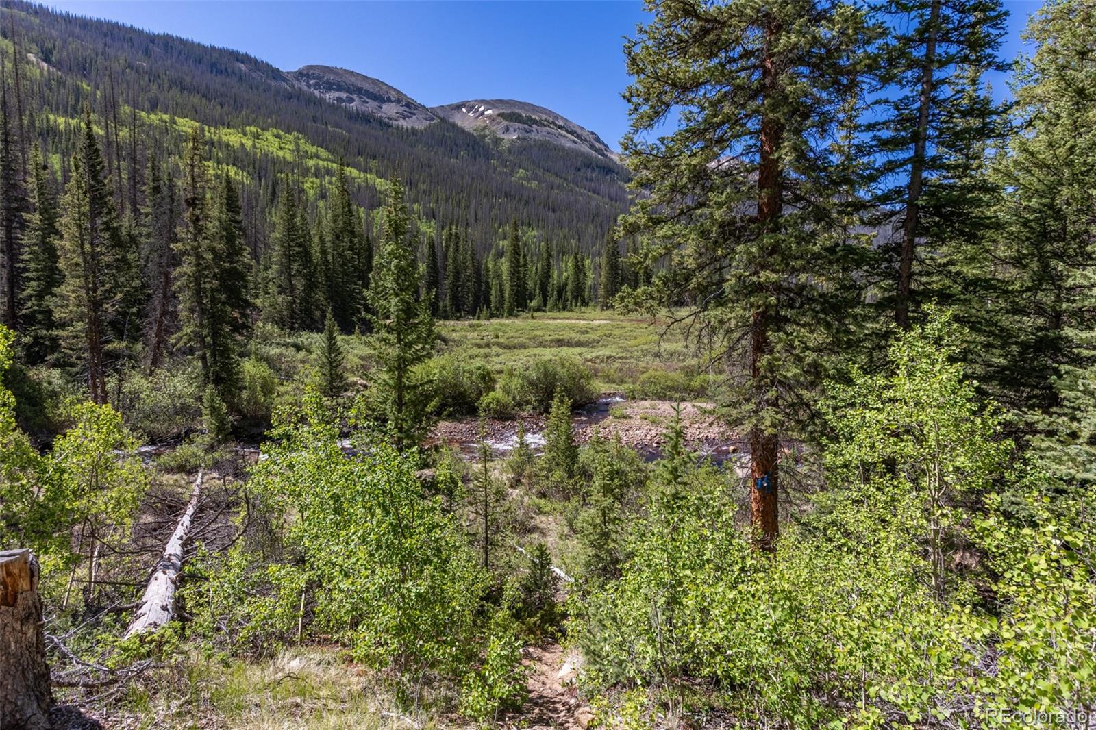 MLS Image #16 for 18990  cr-294 ,nathrop, Colorado