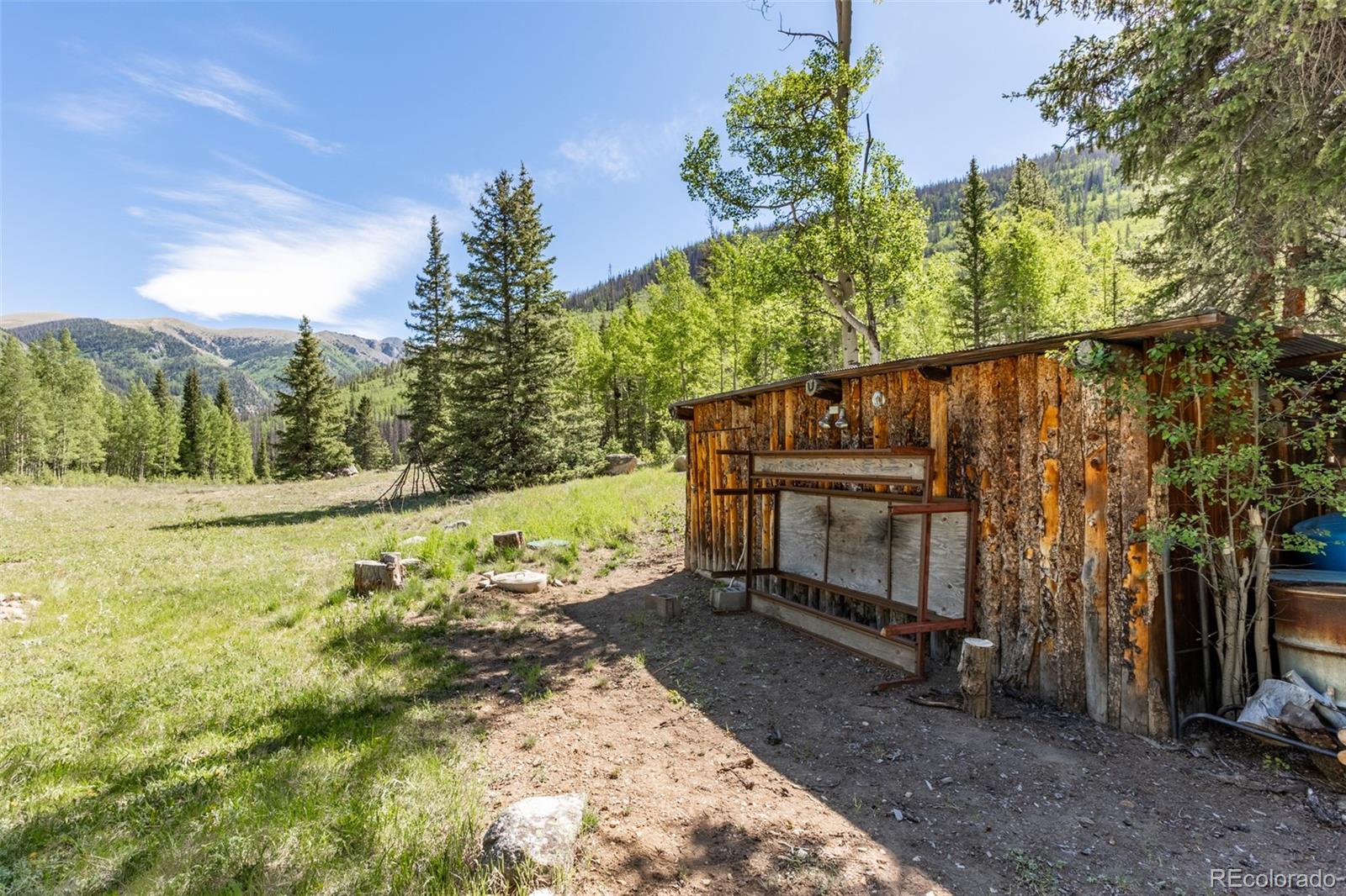 MLS Image #17 for 18990  cr-294 ,nathrop, Colorado