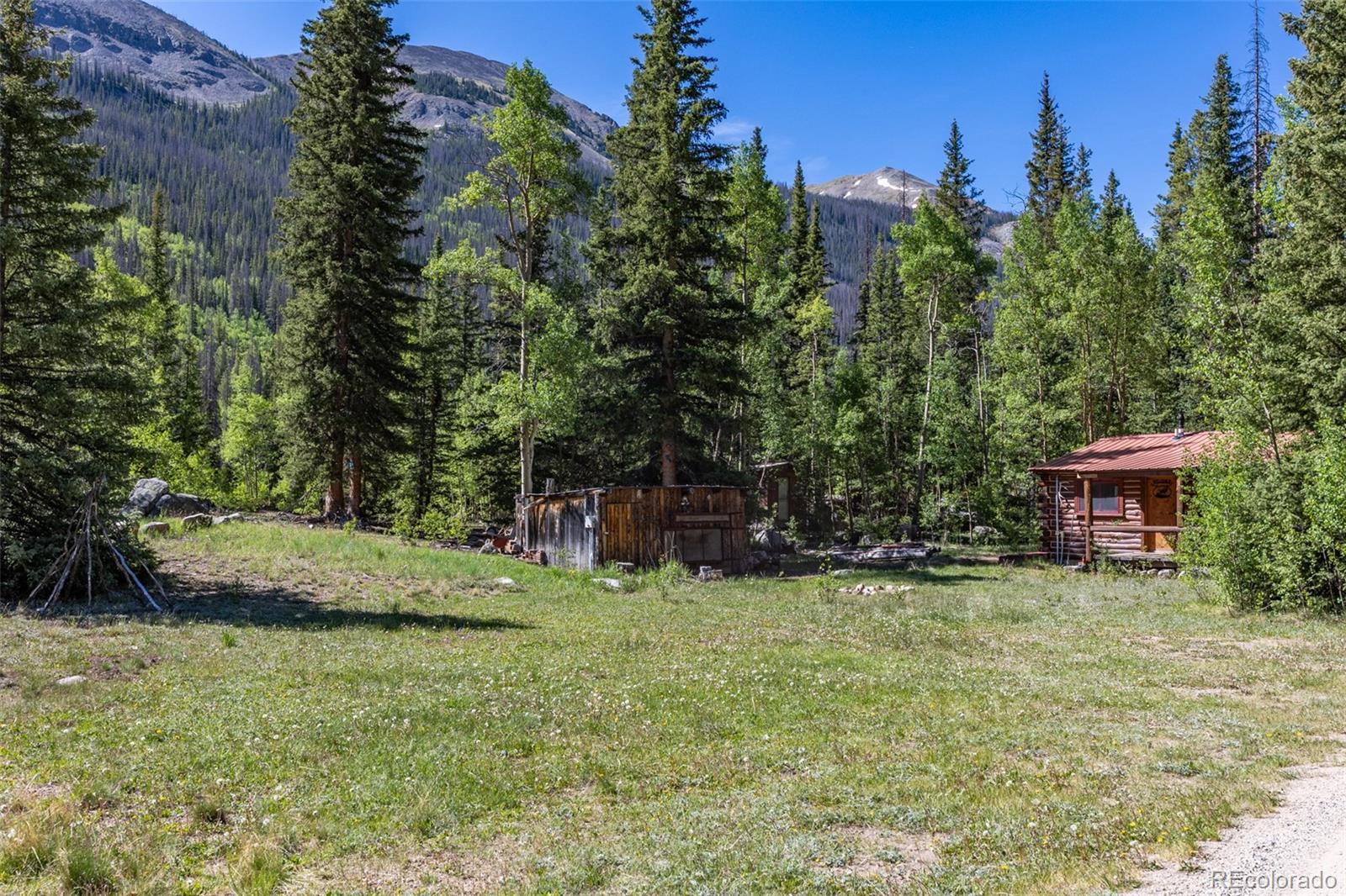 MLS Image #18 for 18990  cr-294 ,nathrop, Colorado