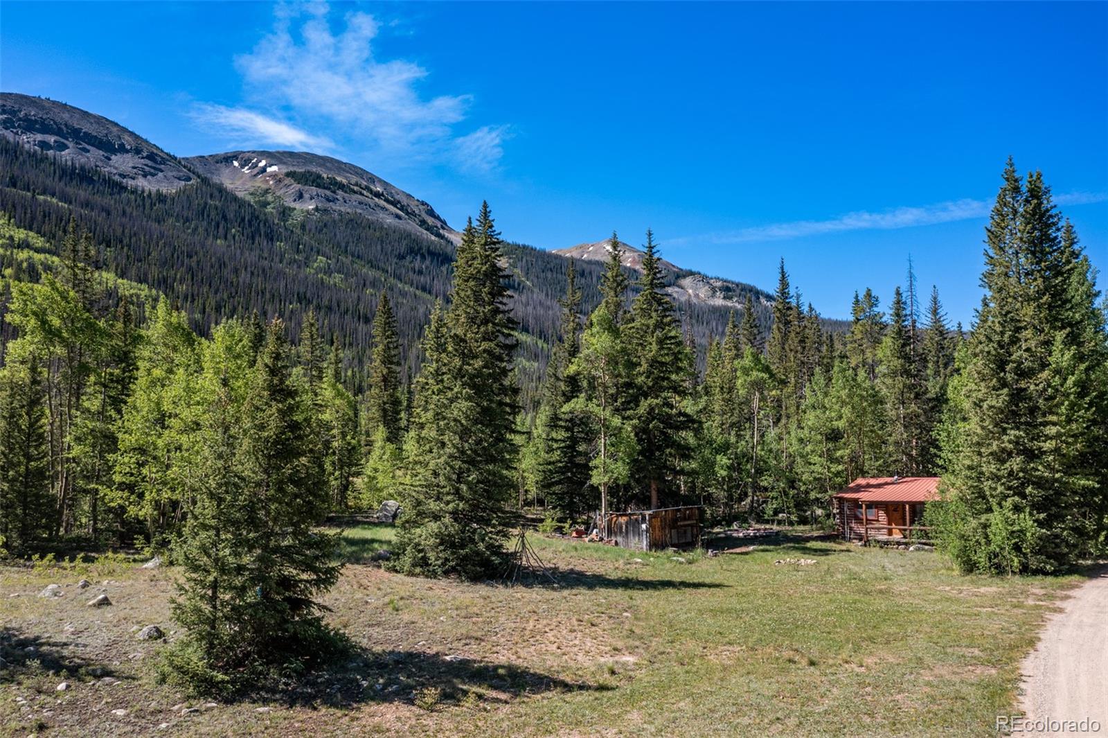 MLS Image #2 for 18990  cr-294 ,nathrop, Colorado