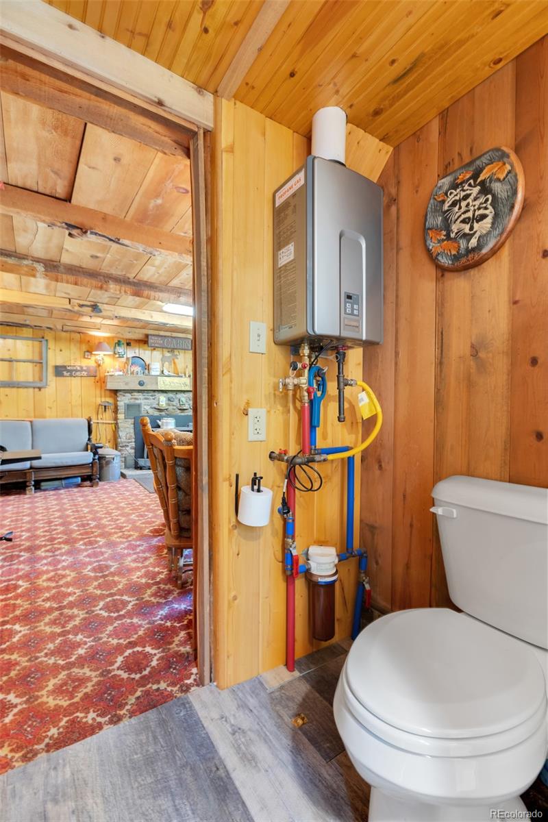 MLS Image #22 for 18990  cr-294 ,nathrop, Colorado