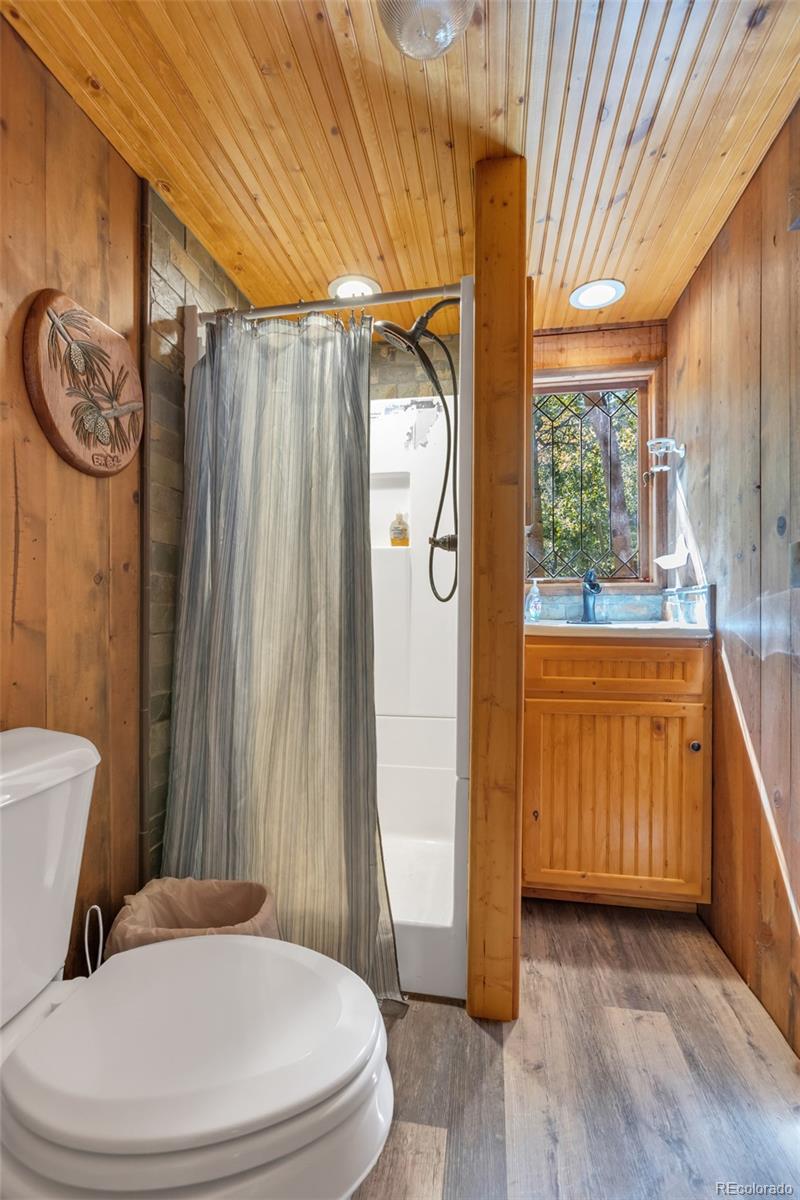 MLS Image #23 for 18990  cr-294 ,nathrop, Colorado