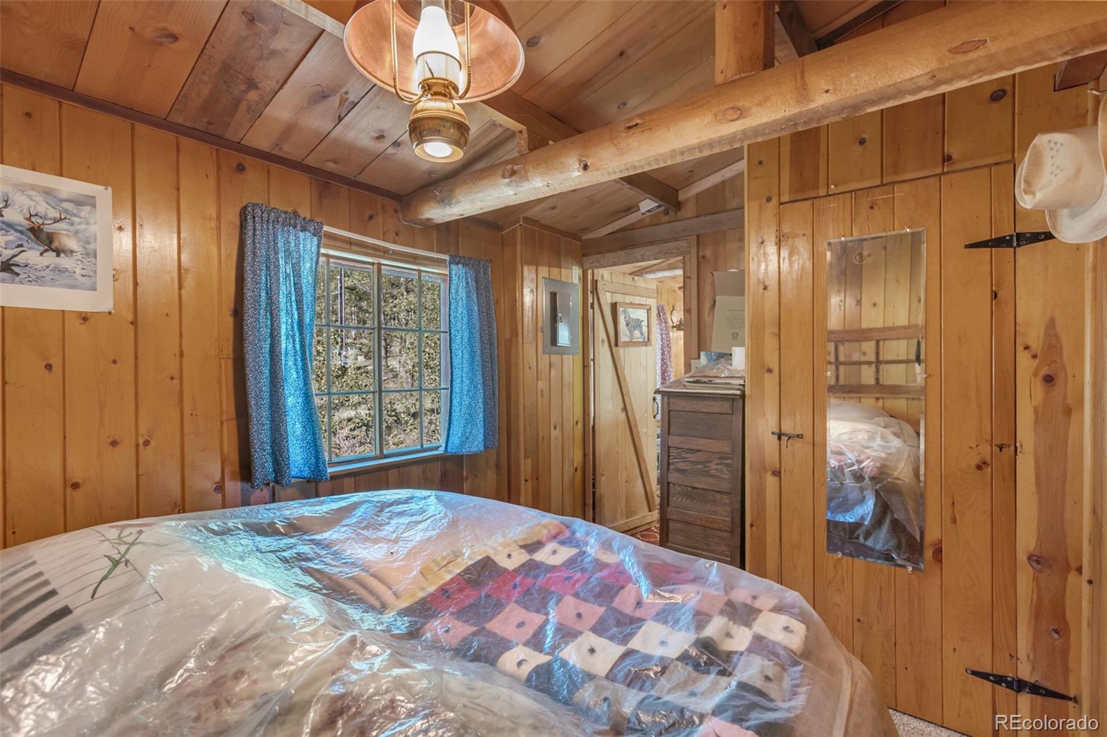 MLS Image #25 for 18990  cr-294 ,nathrop, Colorado