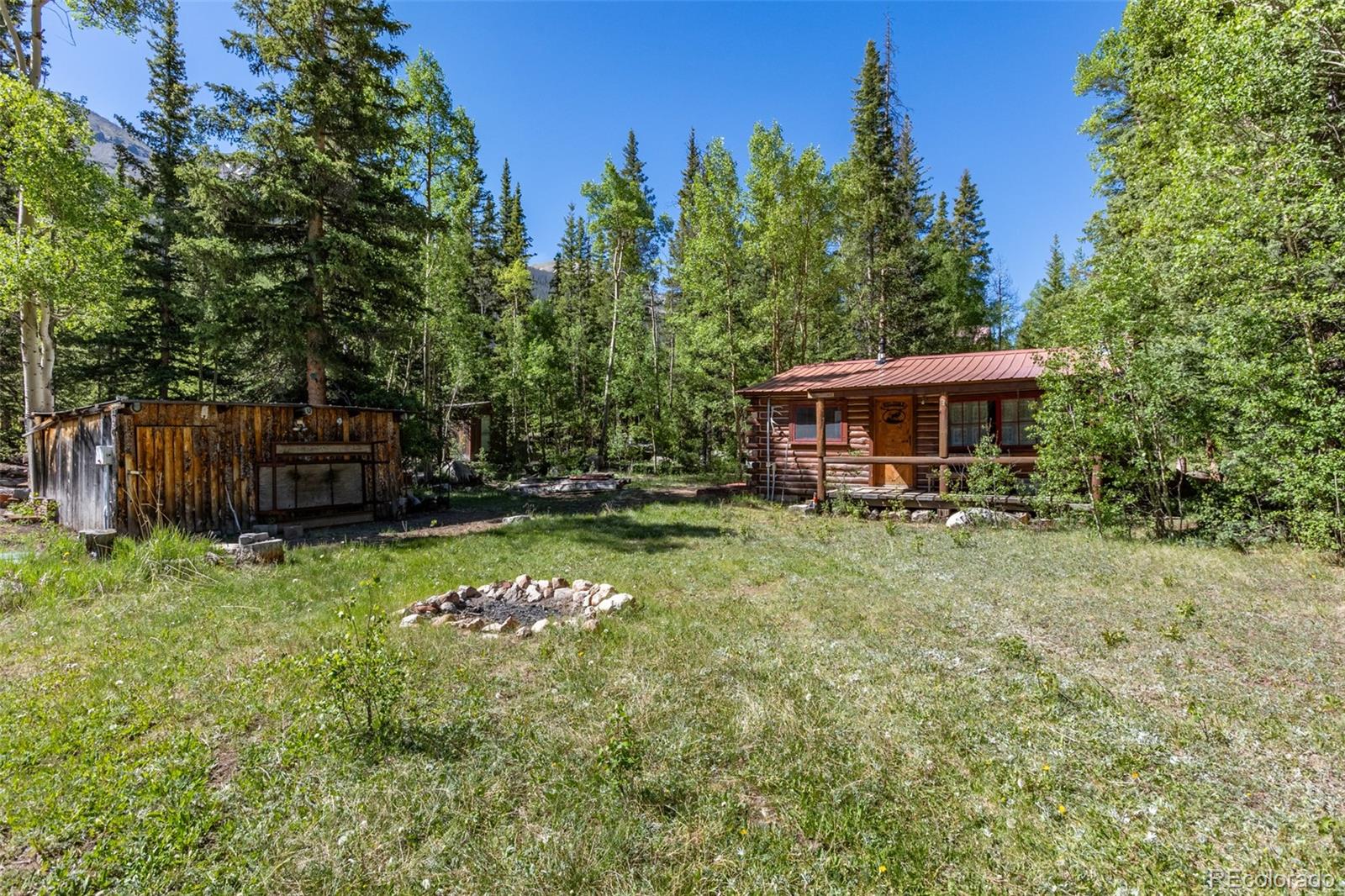 MLS Image #3 for 18990  cr-294 ,nathrop, Colorado