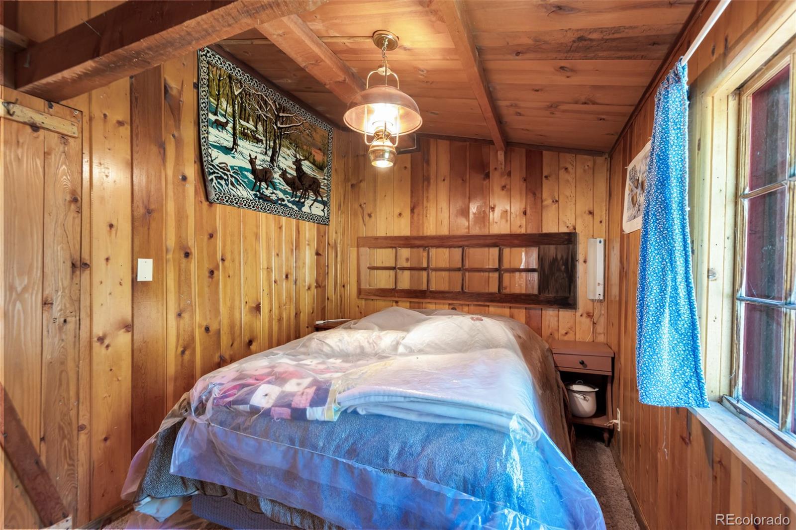 MLS Image #31 for 18990  cr-294 ,nathrop, Colorado