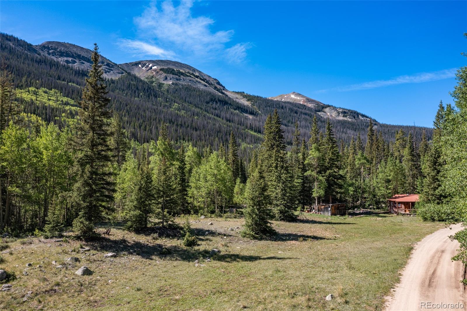 MLS Image #37 for 18990  cr-294 ,nathrop, Colorado