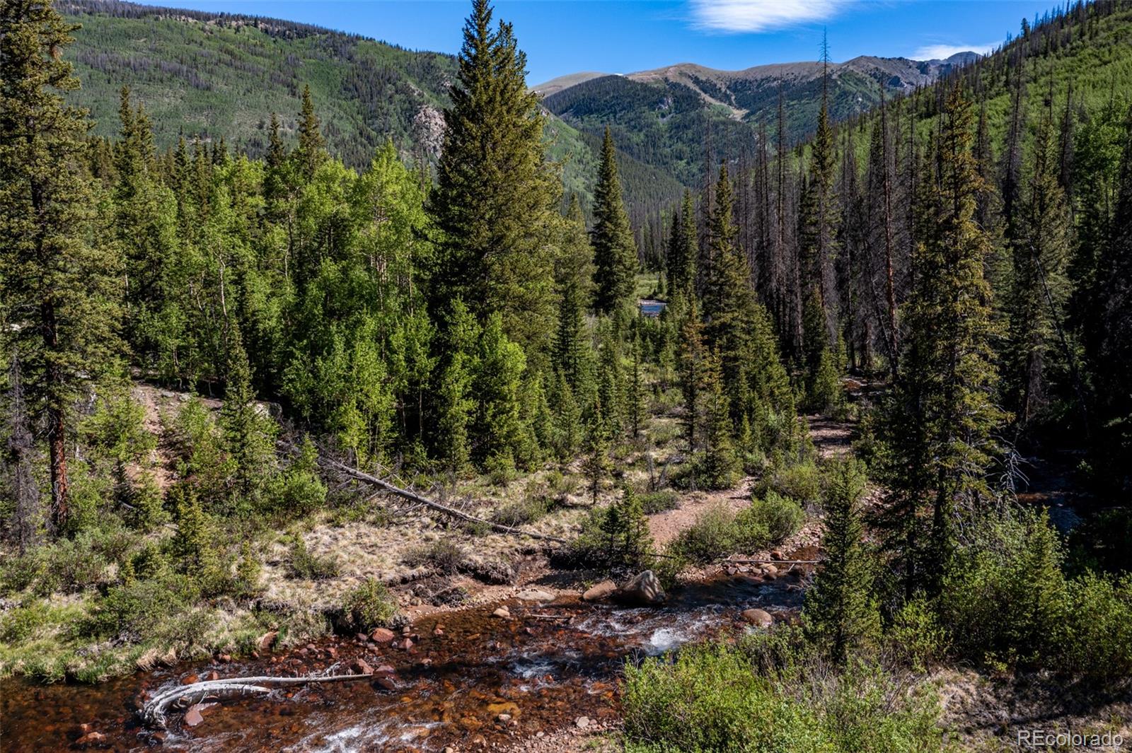 MLS Image #40 for 18990  cr-294 ,nathrop, Colorado