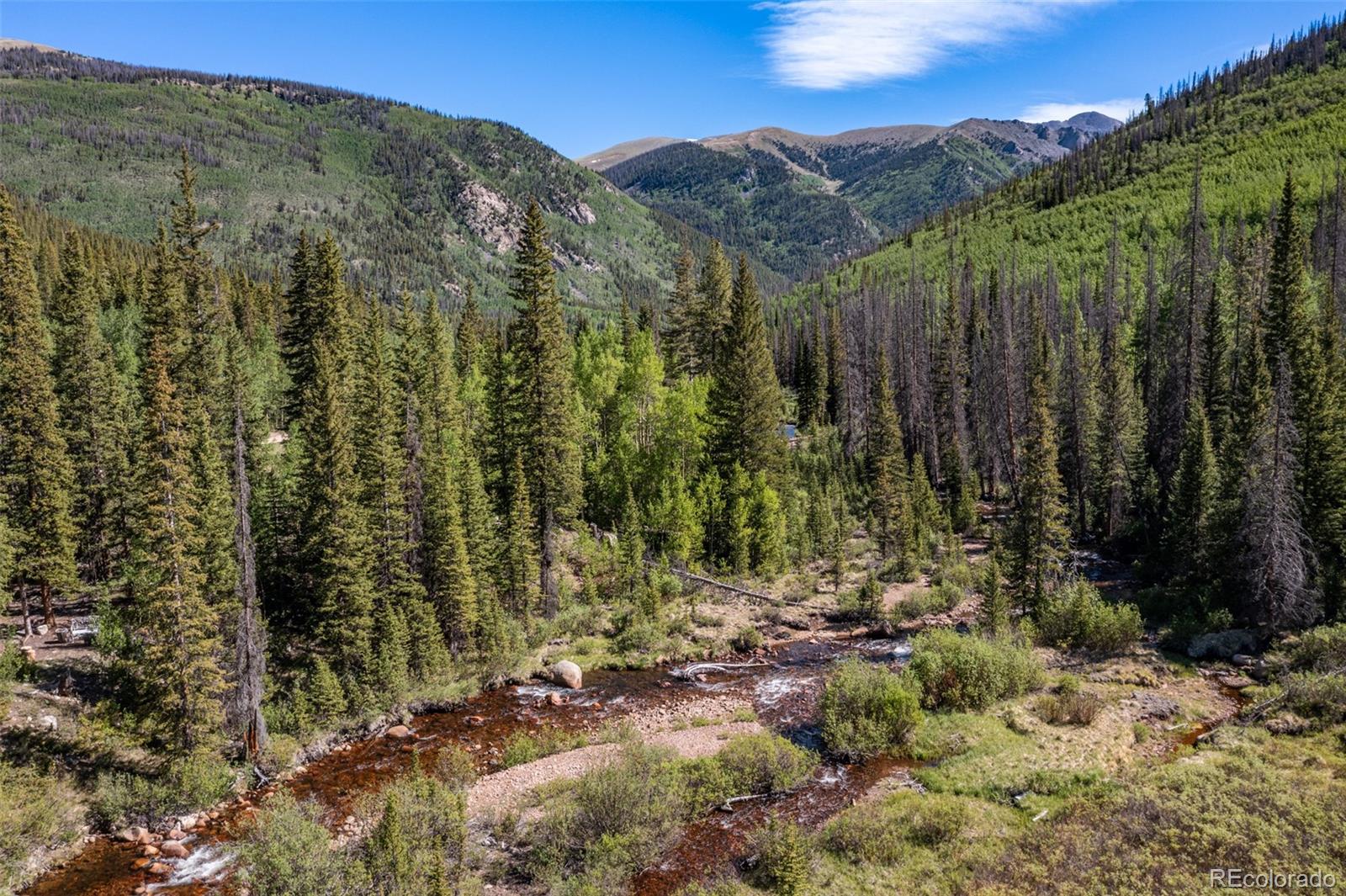 MLS Image #41 for 18990  cr-294 ,nathrop, Colorado