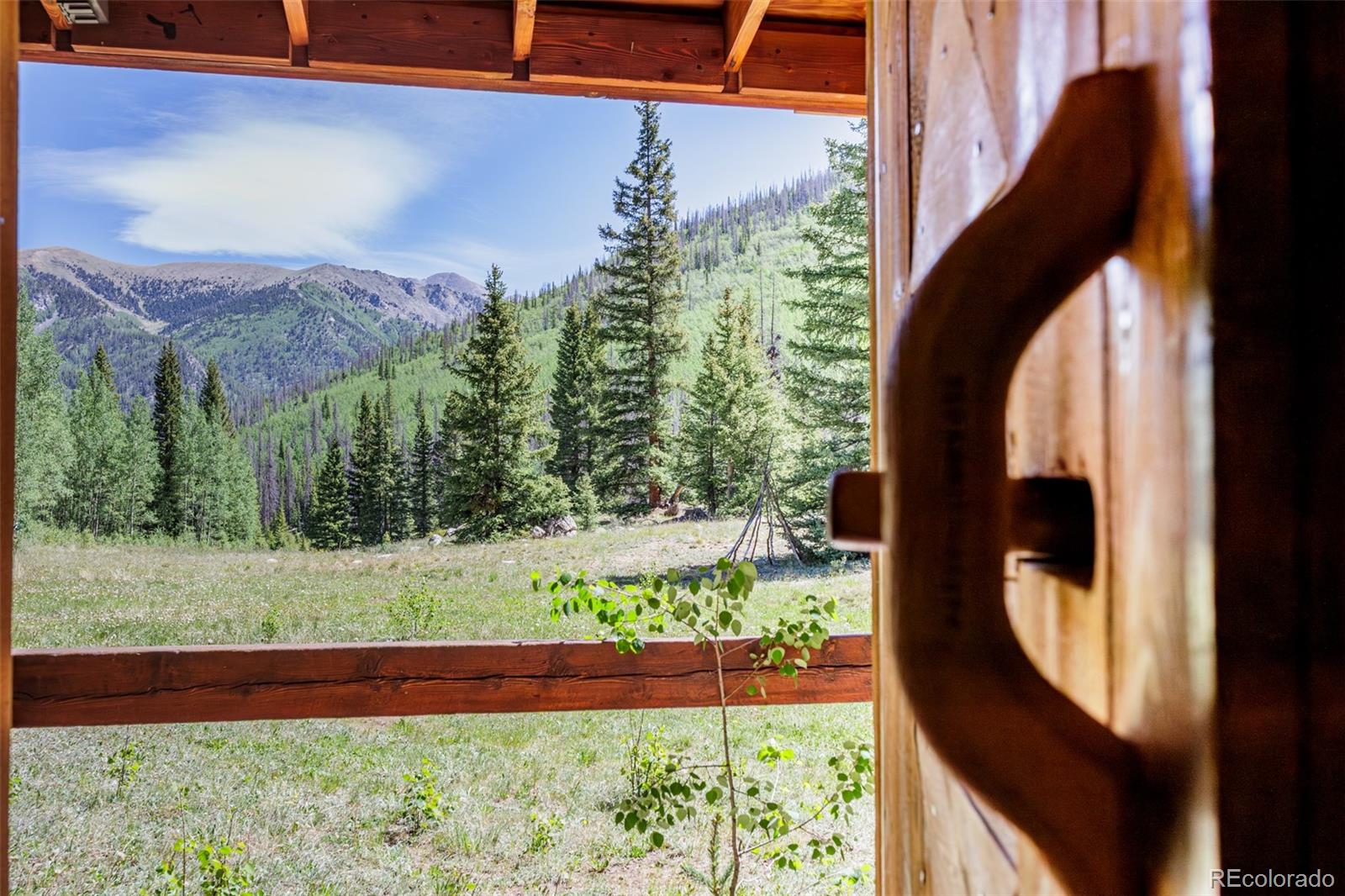 MLS Image #8 for 18990  cr-294 ,nathrop, Colorado