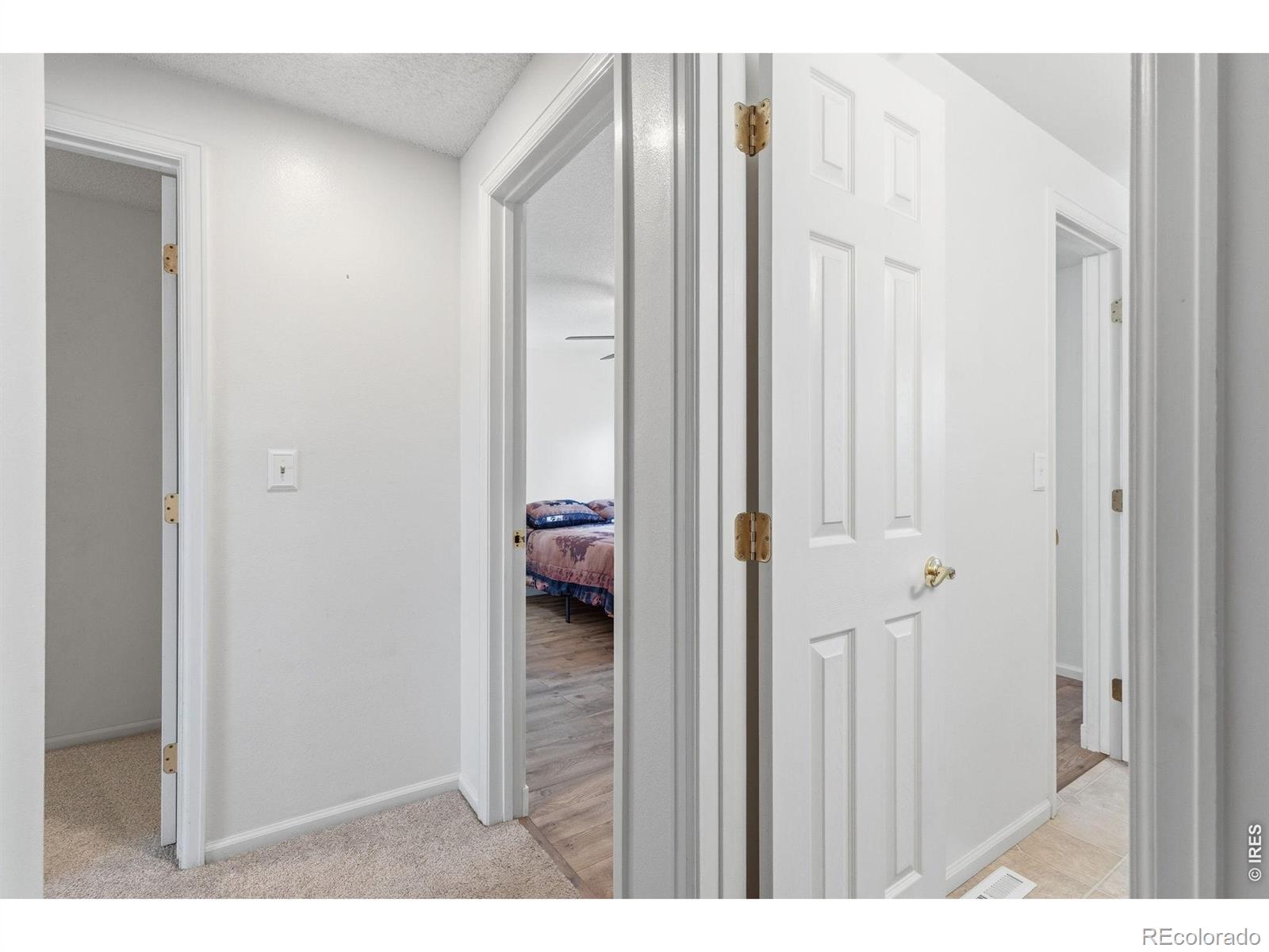 MLS Image #15 for 1040  white elm drive,loveland, Colorado