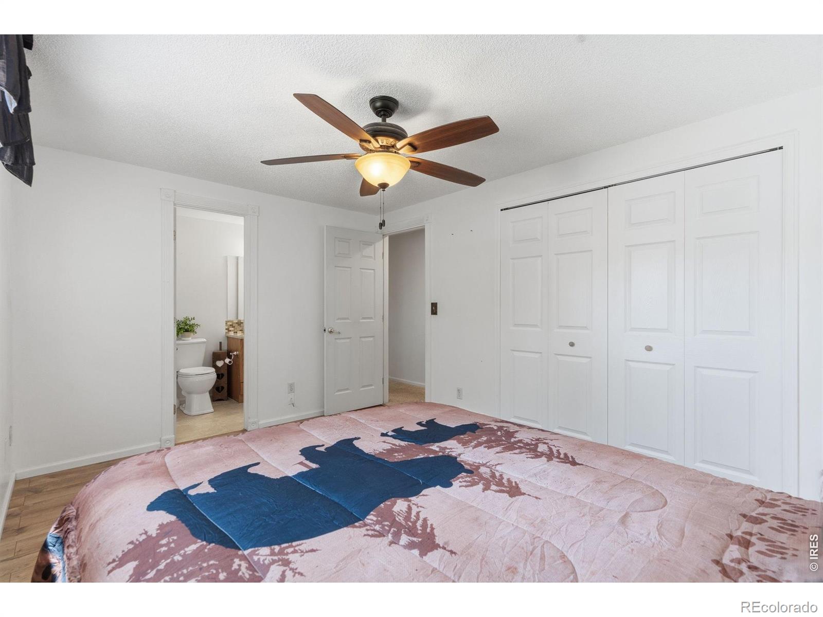 MLS Image #17 for 1040  white elm drive,loveland, Colorado
